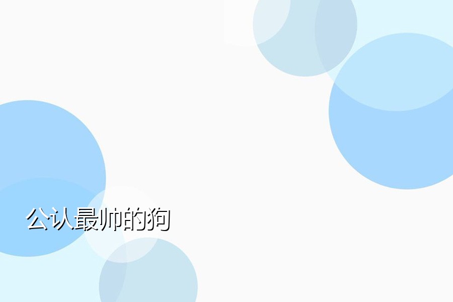 公认最帅的狗