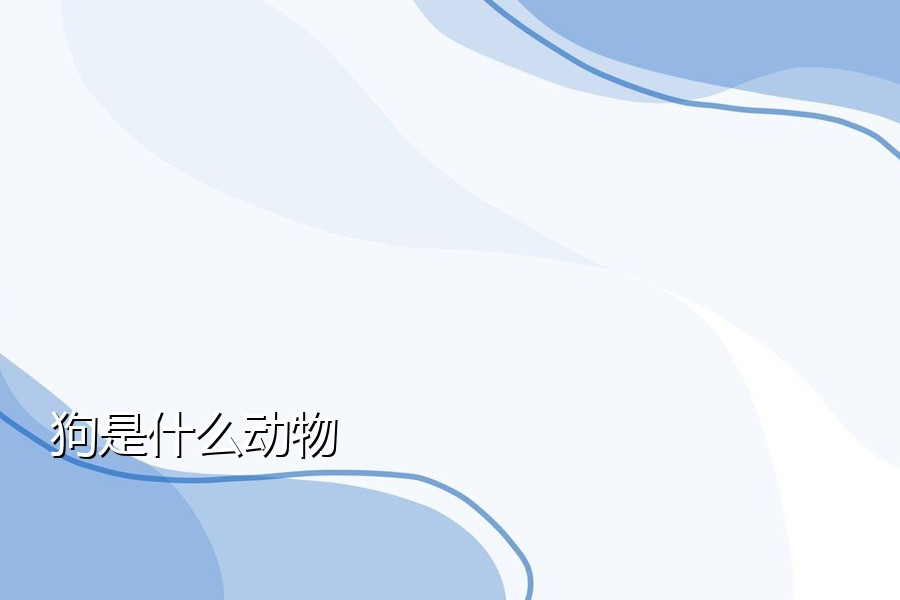 狗是什么动物